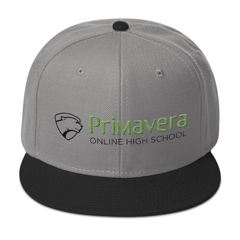 Primavera Logo Wool Snapback Hat