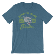 Vintage Panthers Unisex T-Shirt