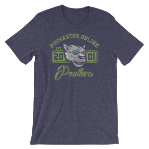 Vintage Panthers Unisex T-Shirt